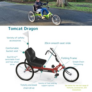 Tomcat Dragon trike (green)